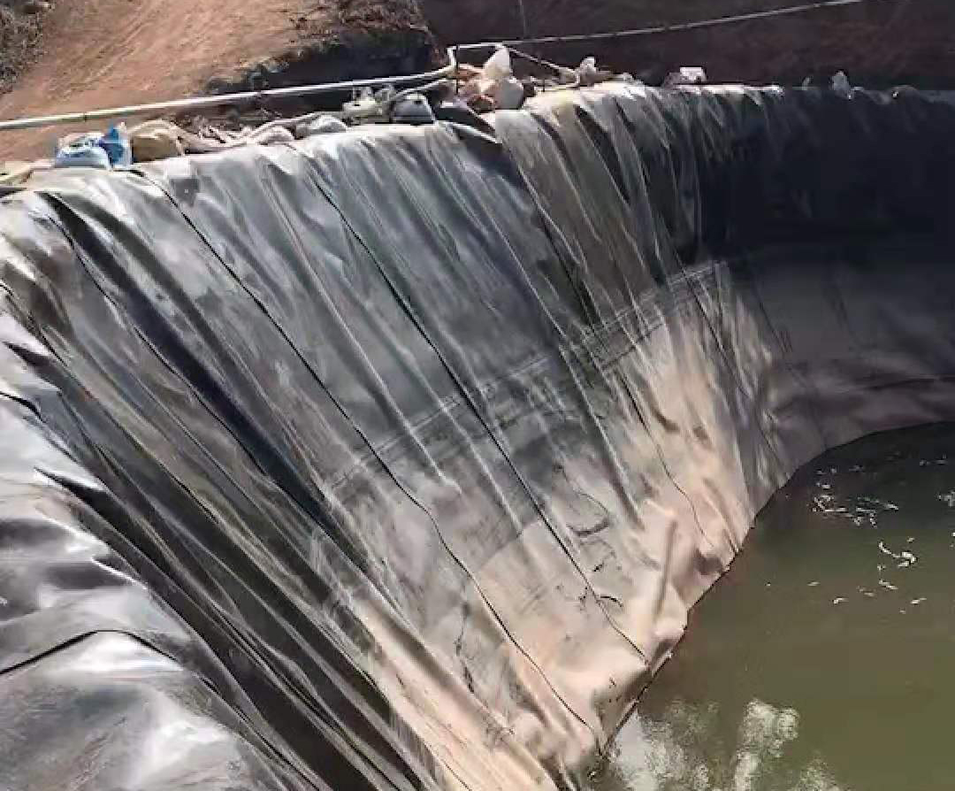 羞羞视频免费观看膜損傷程度的直接影響是透水孔的數目的變化
