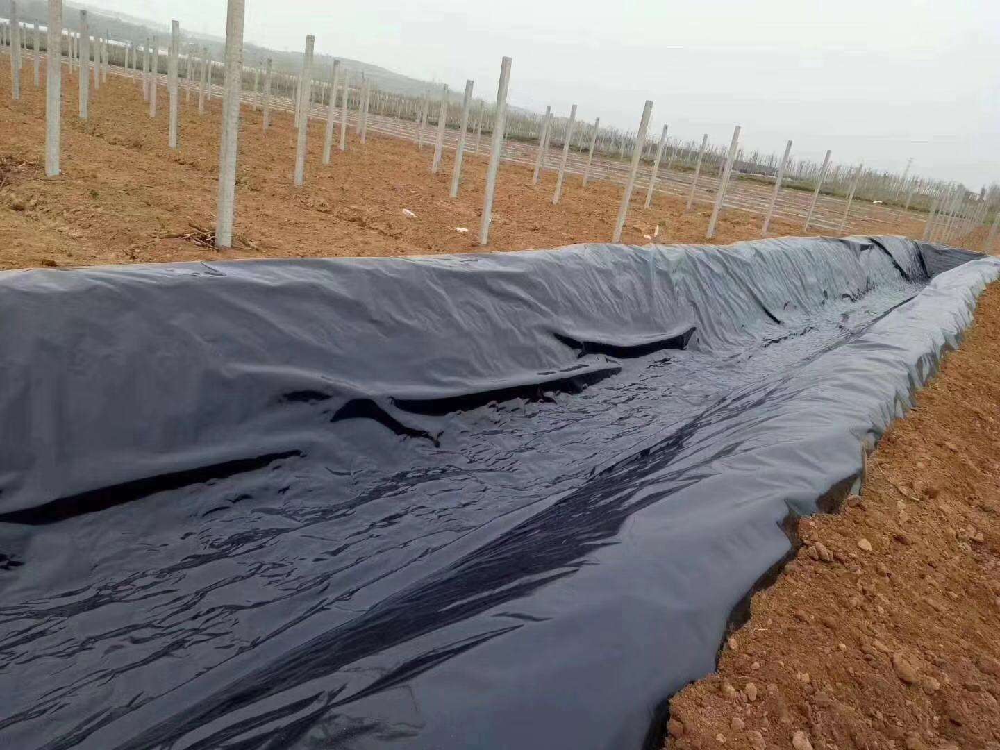 羞羞视频免费观看膜常用於垃圾填埋場、水庫等,其滲透性能極其重要